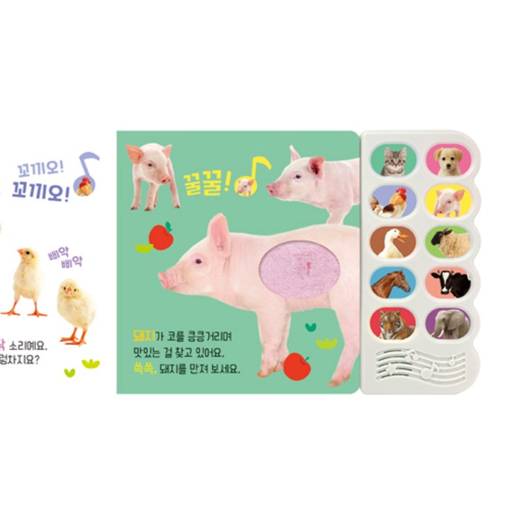 멍멍 강아지와 친구들 감각 자극 사운드북 정면