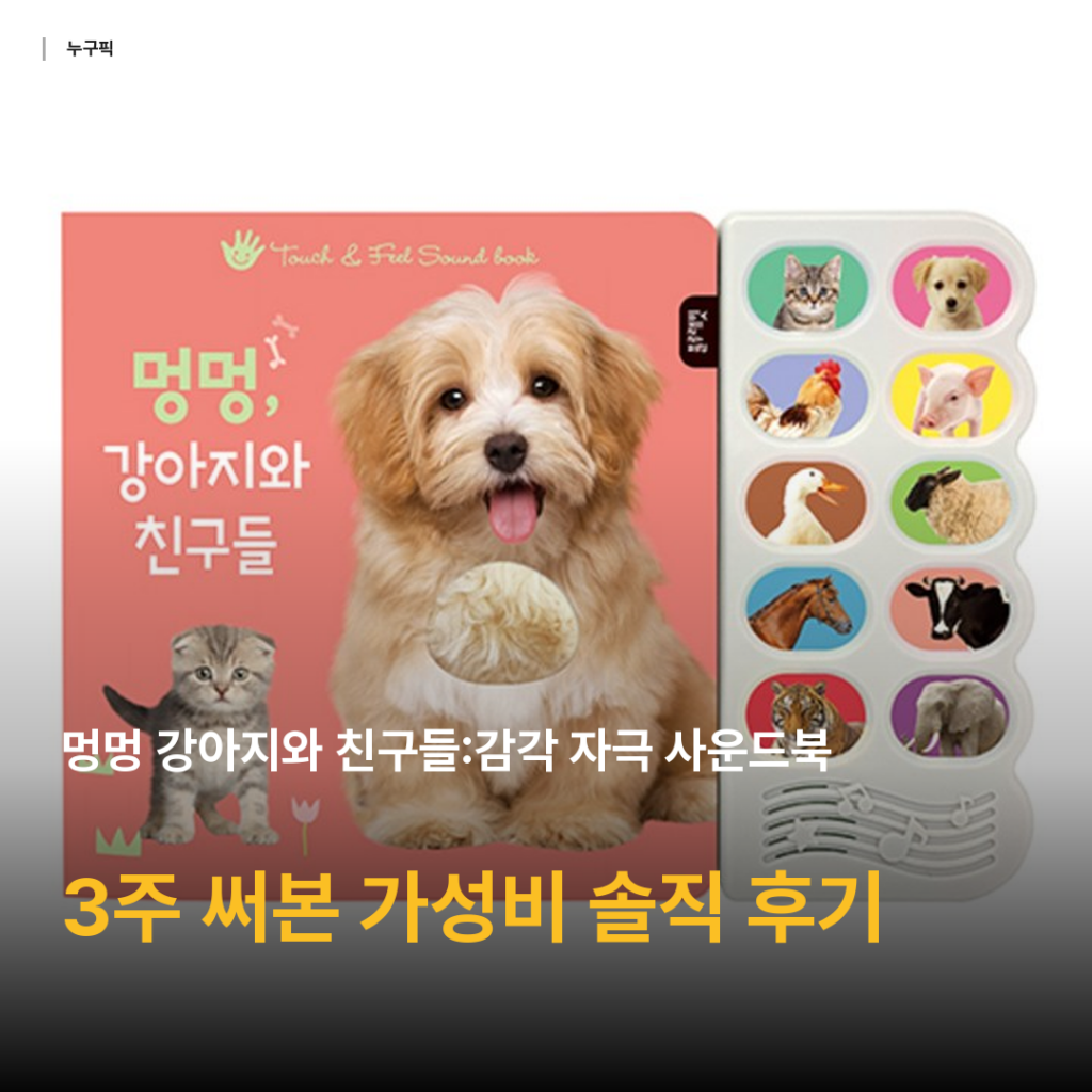 멍멍 강아지와 친구들 감각 자극 사운드북 — 9개월 아기와 3주 써본 1만원대 가성비 솔직