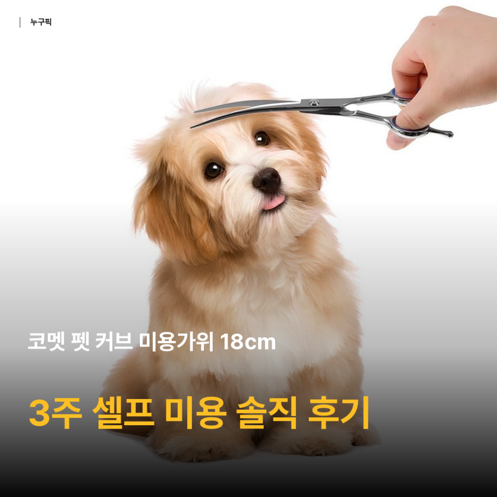코멧 펫 커브 미용가위 18cm 후기 — 진도풍산 믹스견 발바닥 셀프 미용 3주 가성비