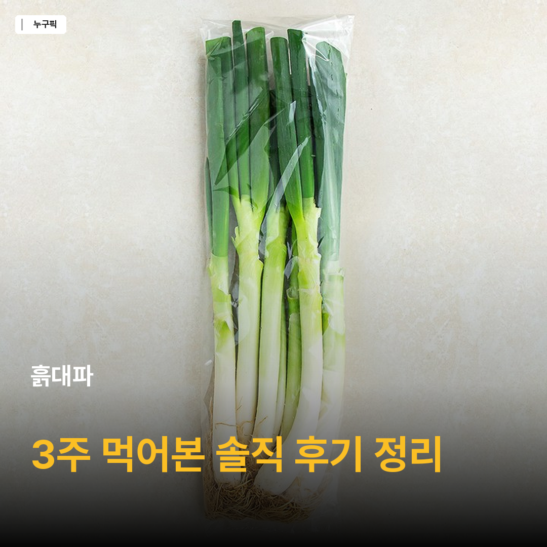 흙대파, 1kg, 1개