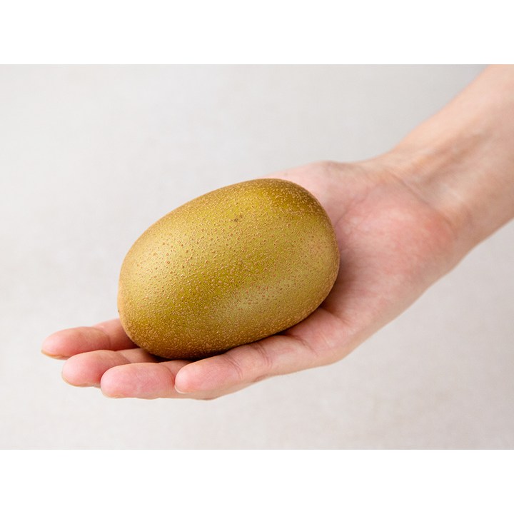 제스프리 썬골드키위 점보 750g 실사용 이미지