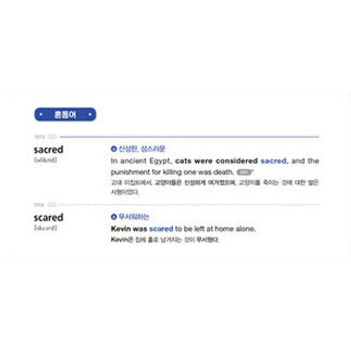 워드마스터 고등 Basic 테스트 페이지