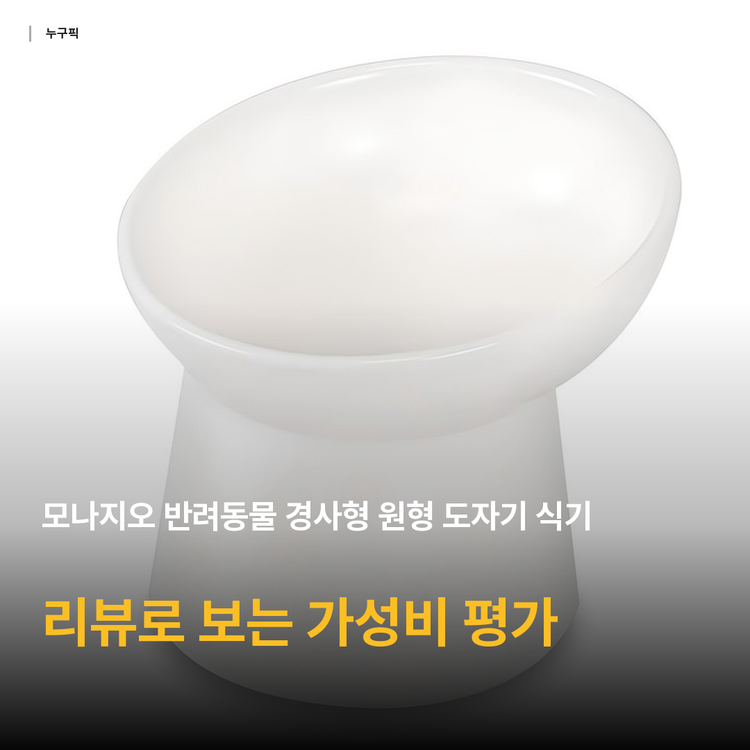모나지오 반려동물 경사형 원형 도자기 식기, 화이트, 1개