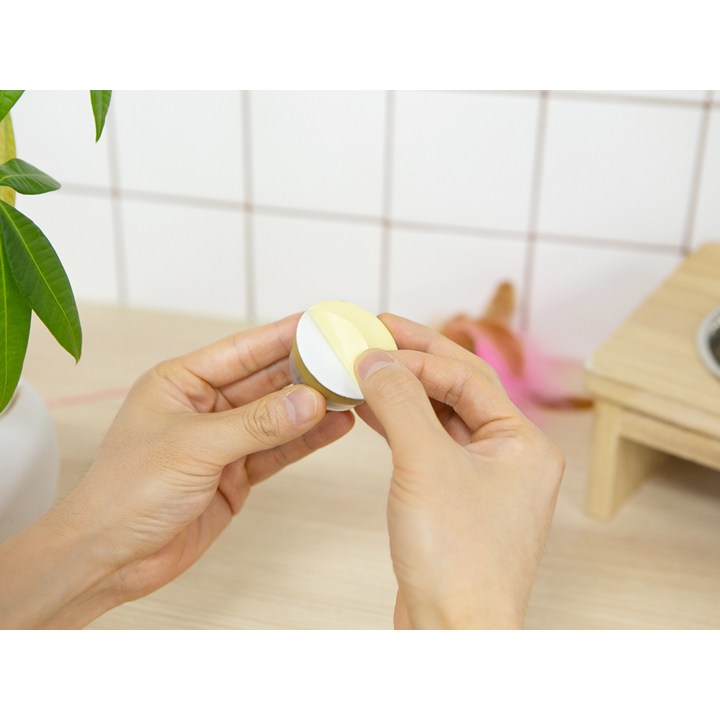코멧 캣닢 볼 받침대 구성