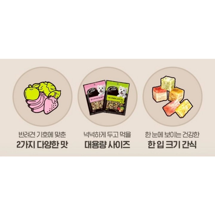 시저 강아지 간식 급여 장면