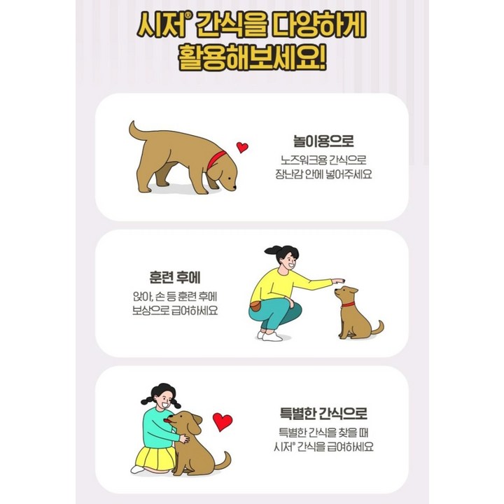 강아지 간식 노즈워크 활용 분위기 사진 (출처: Pexels)