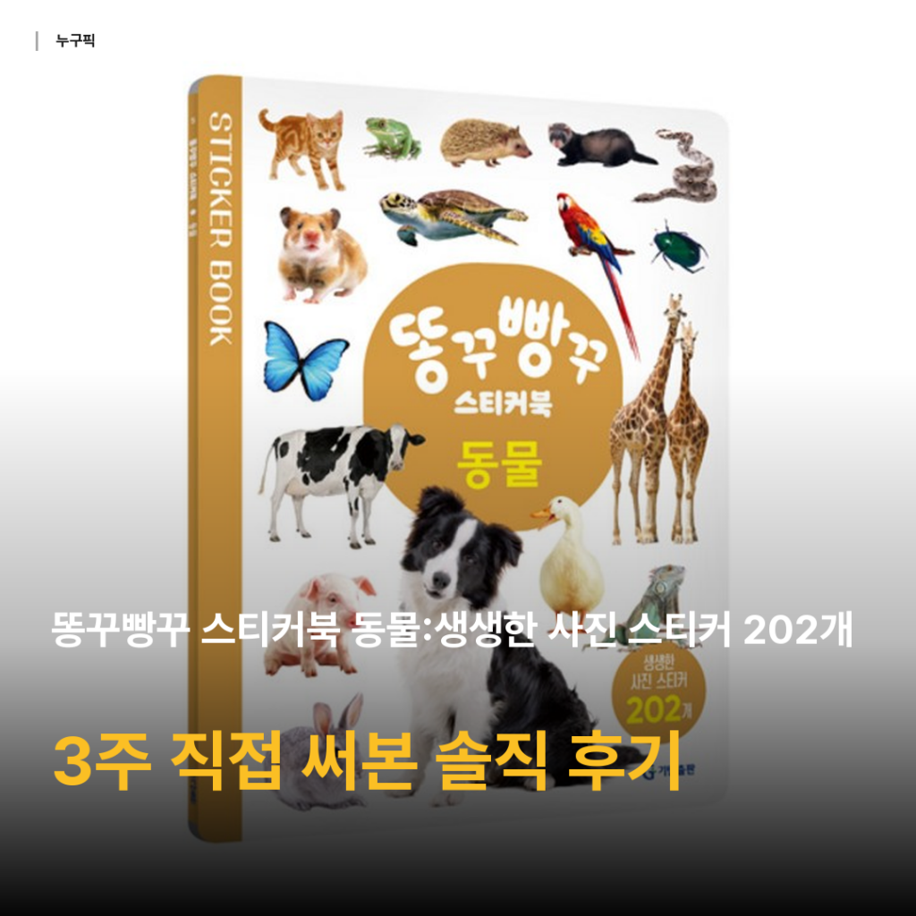 똥꾸빵꾸 동물 스티커북 202개 후기 — 5천원대 기내·여행 필수템, 7살 아이 3주 직접