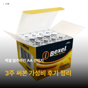 벡셀 알카라인 건전지 20개입 3주 써보고 정리한 솔직 후기 — AA 가성비 정답일까