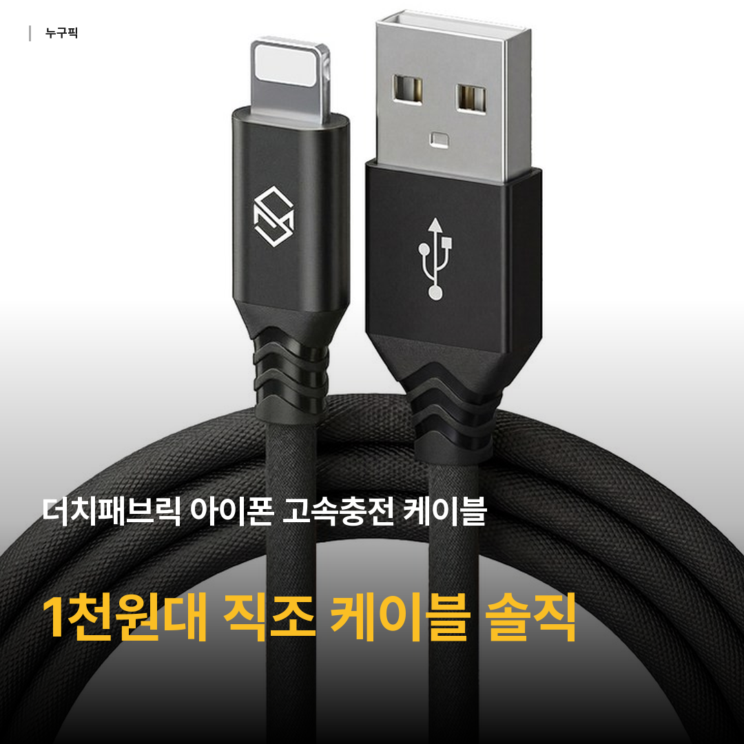 더치패브릭 아이폰 고속충전 케이블