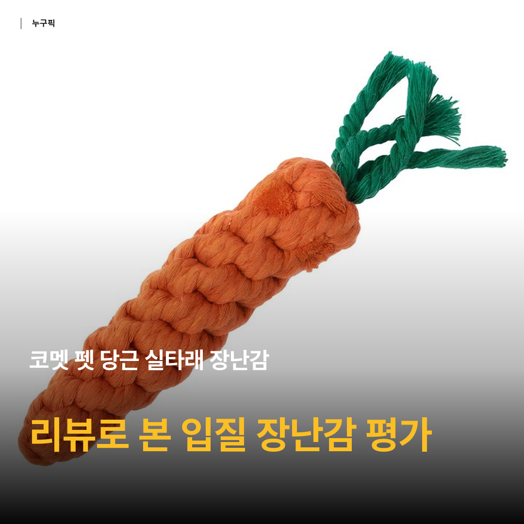 코멧 펫 당근 실타래 장난감