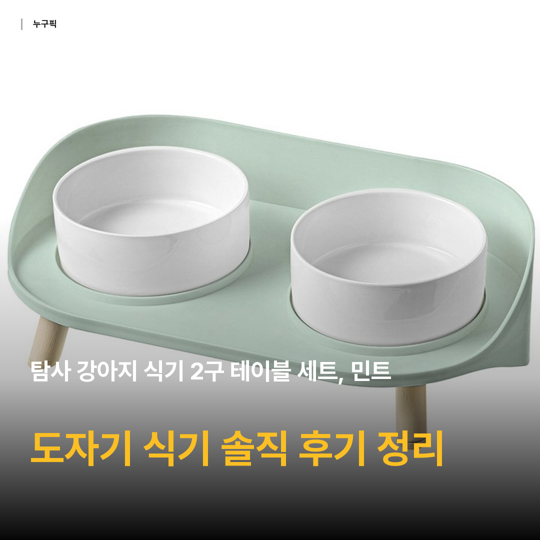 탐사 강아지 식기 2구 테이블 세트, 민트, 1개