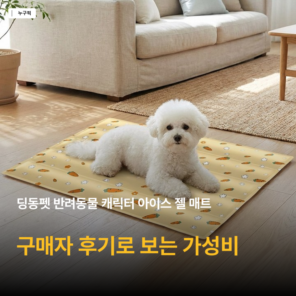 5천원대 강아지 아이스 매트 고민, 딩동펫 캐릭터 젤 매트 구매자 후기 종합 정리 2026