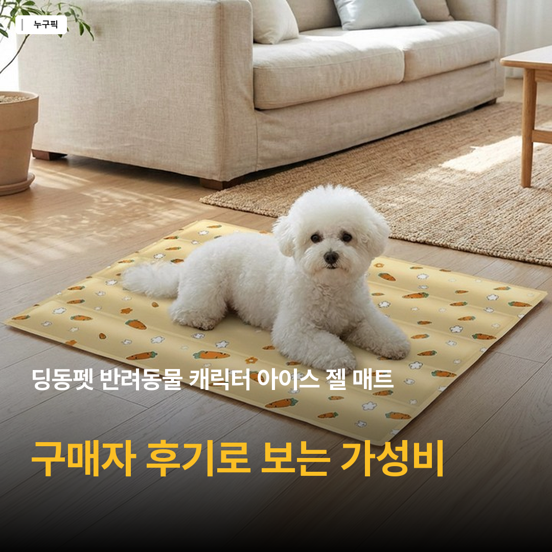 딩동펫 반려동물 캐릭터 아이스 젤 매트