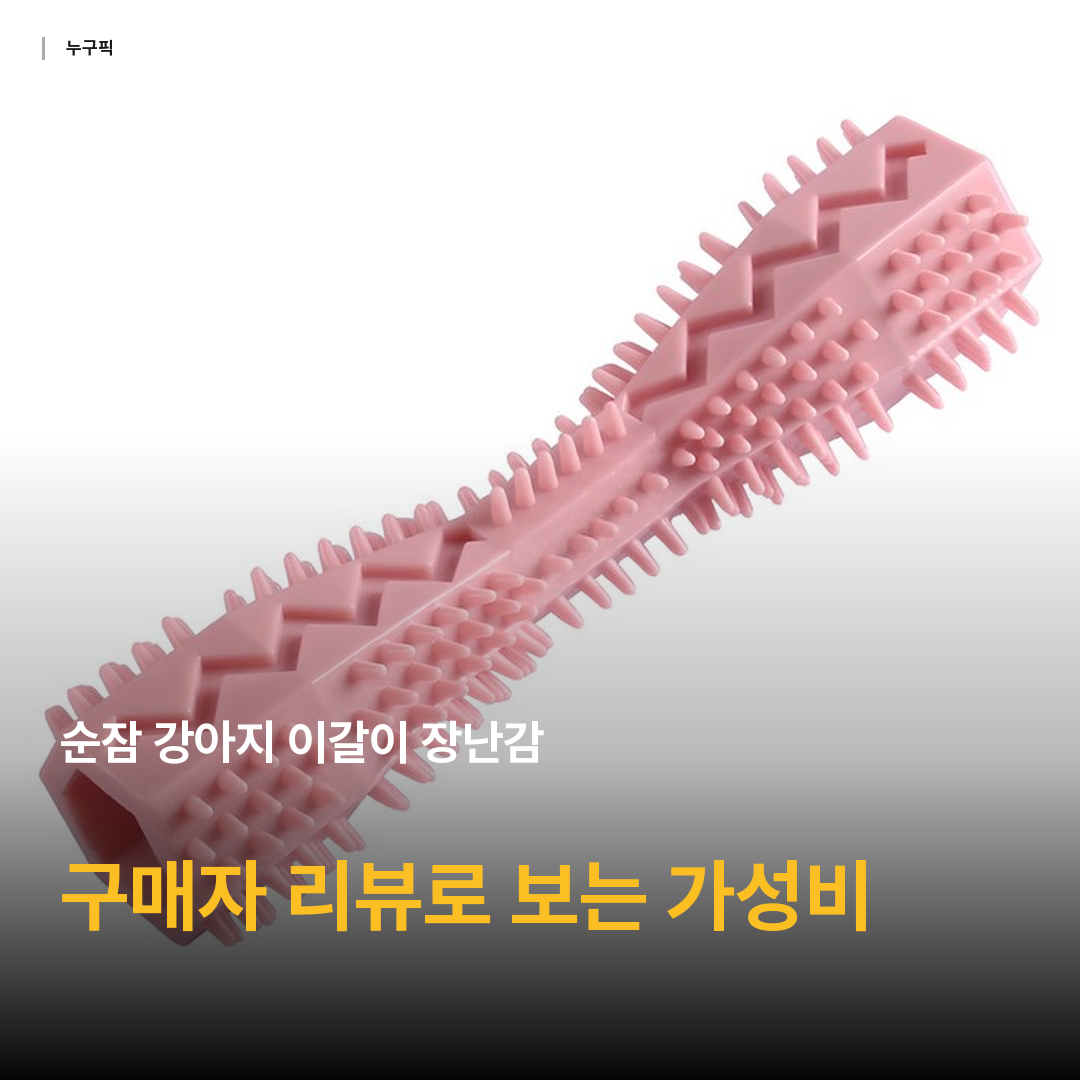 순잠 강아지 이갈이 장난감