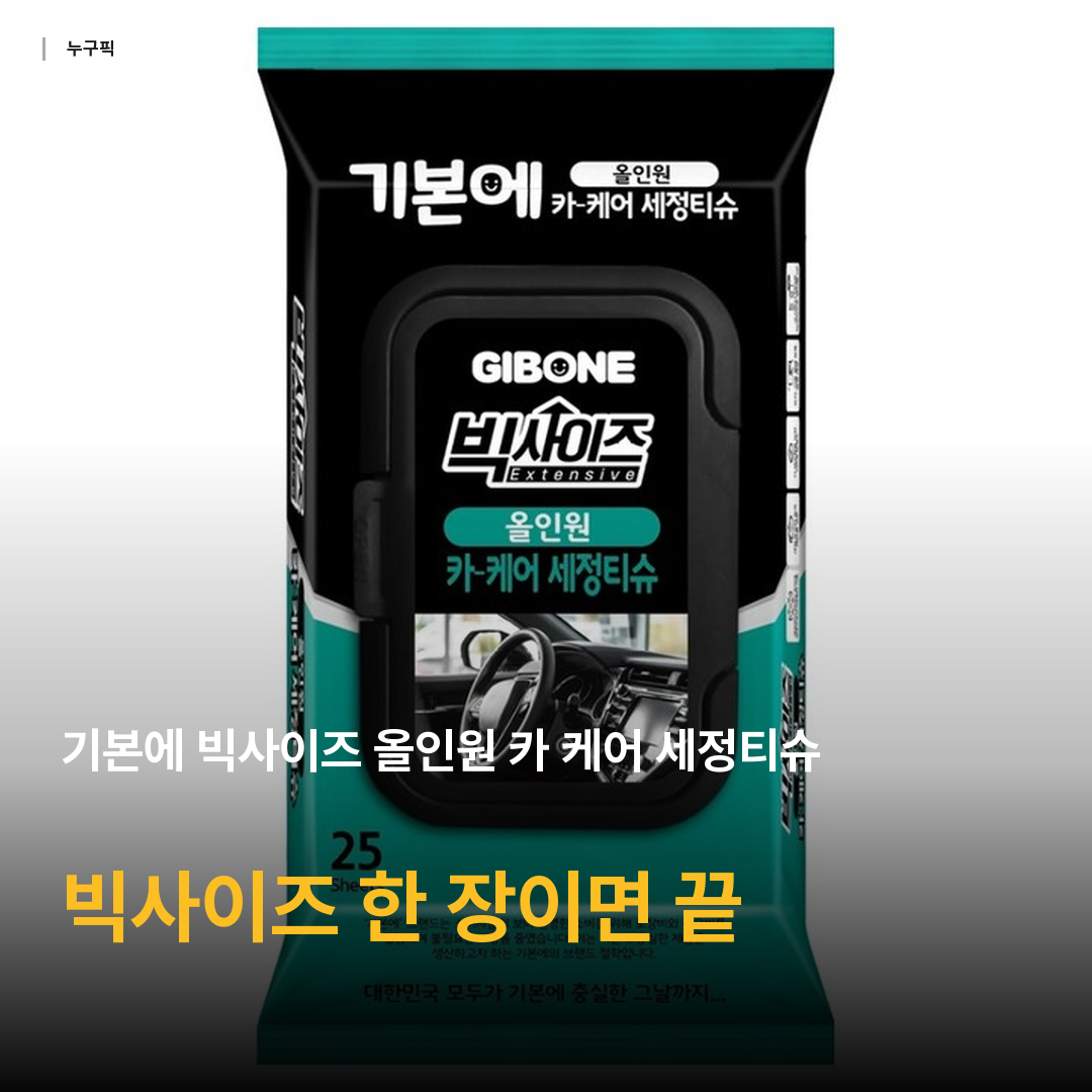 기본에 빅사이즈 올인원 카 케어 세정티슈, 25개, 1개