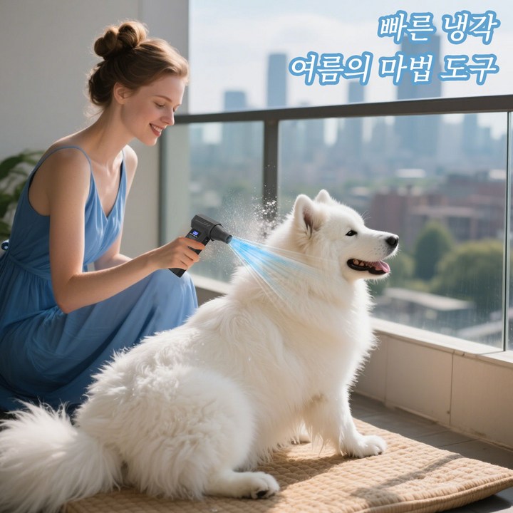 P70 무선 에어건 캠핑 활용