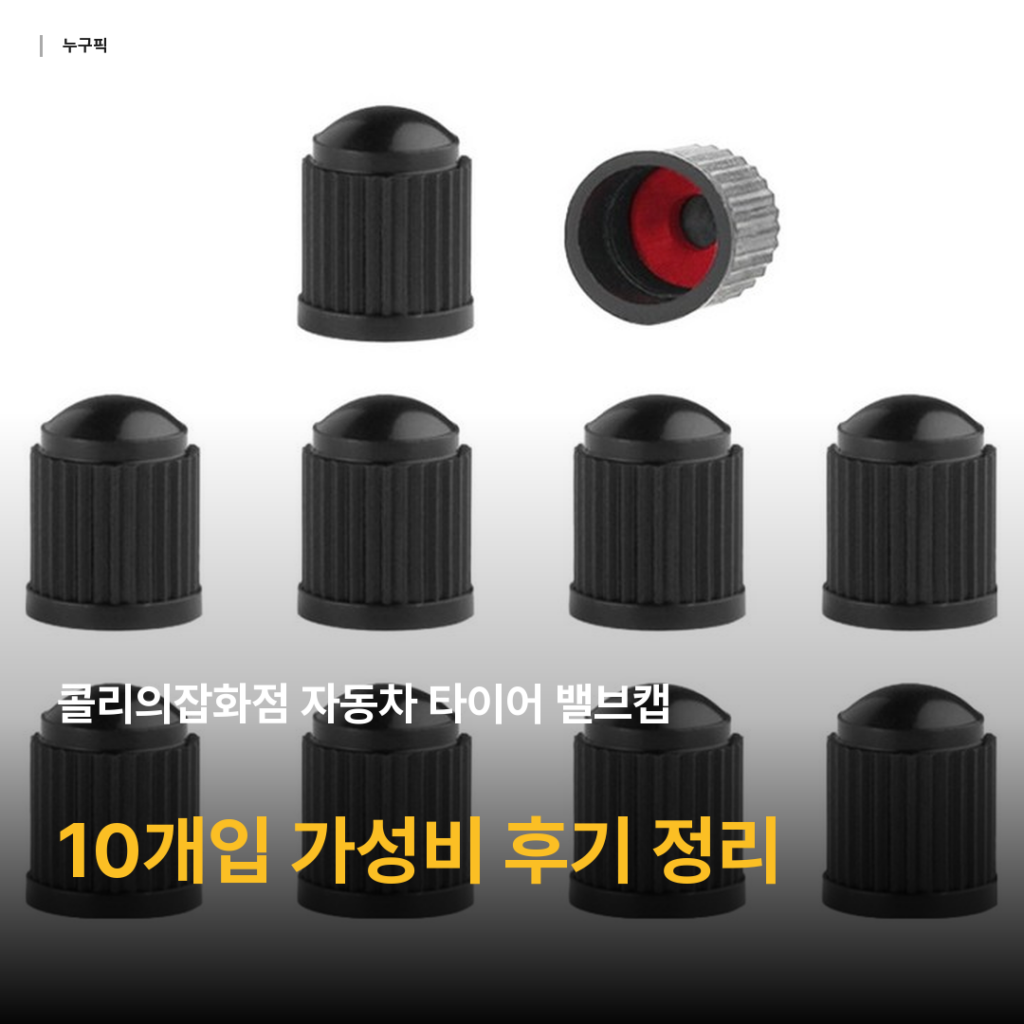 콜리의잡화점 자동차 타이어 밸브캡 블랙 10개입 — 호환성·밀폐력 리뷰로 본 가성비 종합