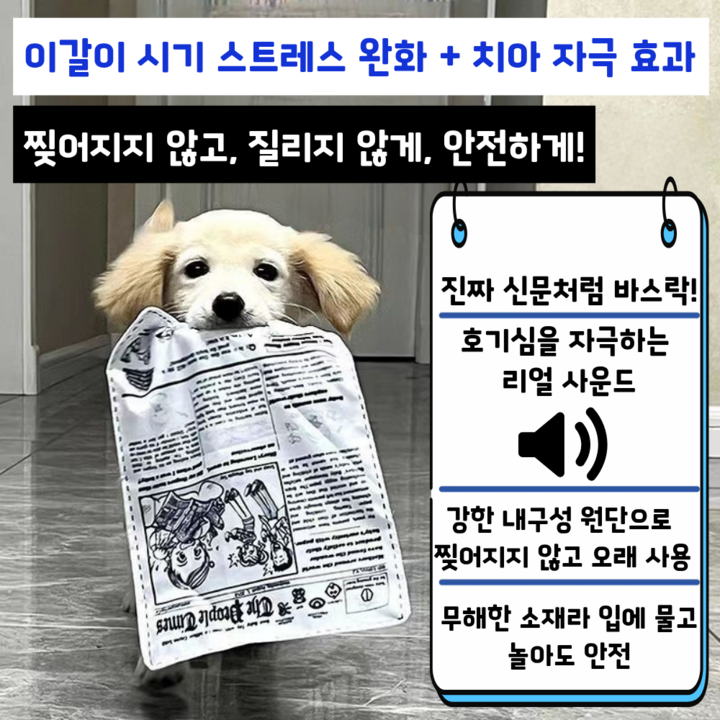 강아지가 바스락북을 가지고 노는 사용 장면 이미지