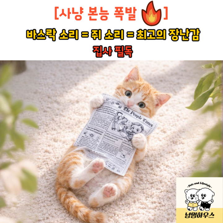 바스락북 마무리 분위기 이미지