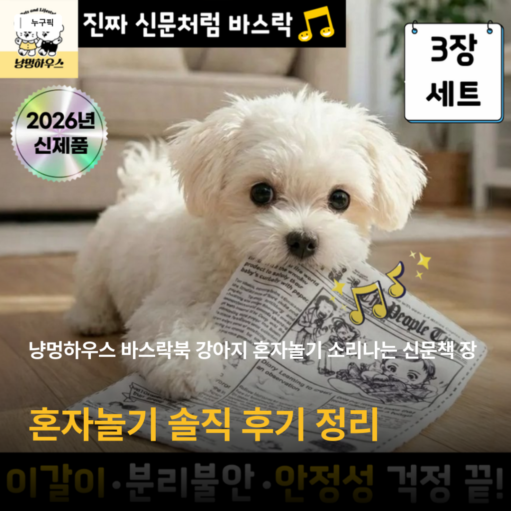 강아지 혼자놀기 고민될 때 — 냥멍하우스 바스락북 소리나는 신문책 장난감 리뷰 종합