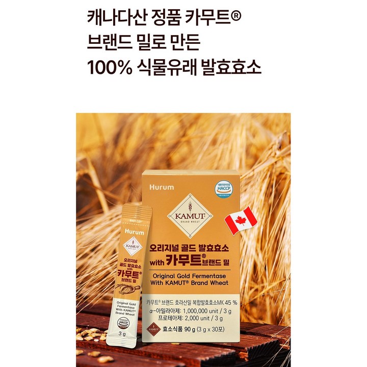 카무트 효소 골드 물에 타는 모습